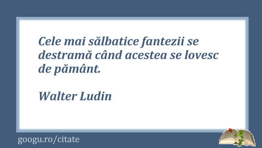 Citate despre fantezie, Walter Ludin