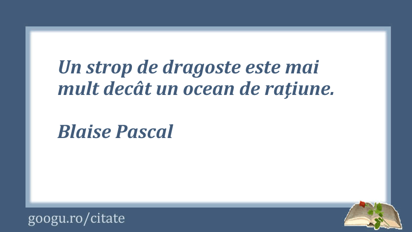 Citate despre ratiune 08
