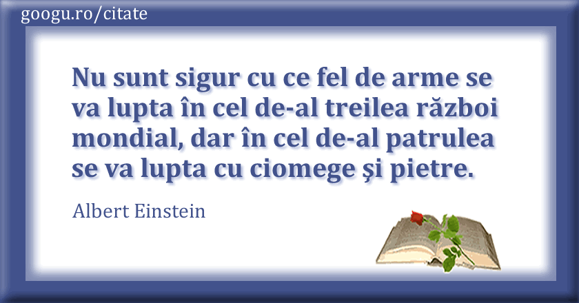 Citat despre prostie - autor: Albert Einstein Albert Einstein - Citat despre prostie