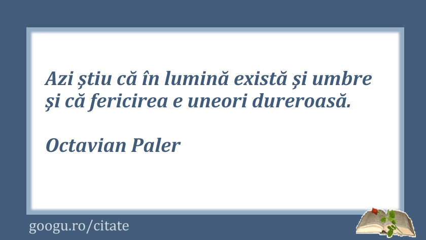 Citat despre fericire, Octavian Paler