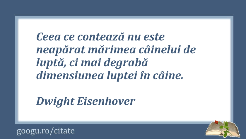 Citate despre lupta, Dwight Eisenhover