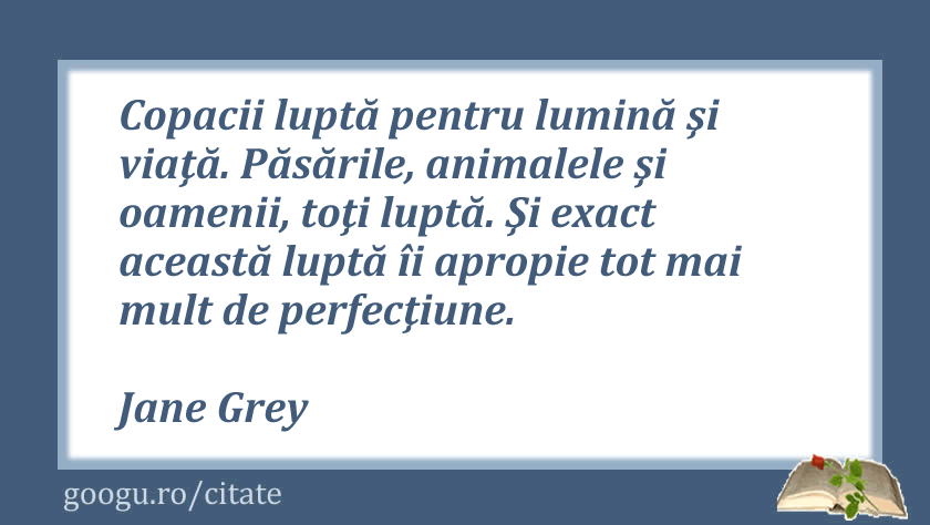 Citate despre lupta, Jane Grey