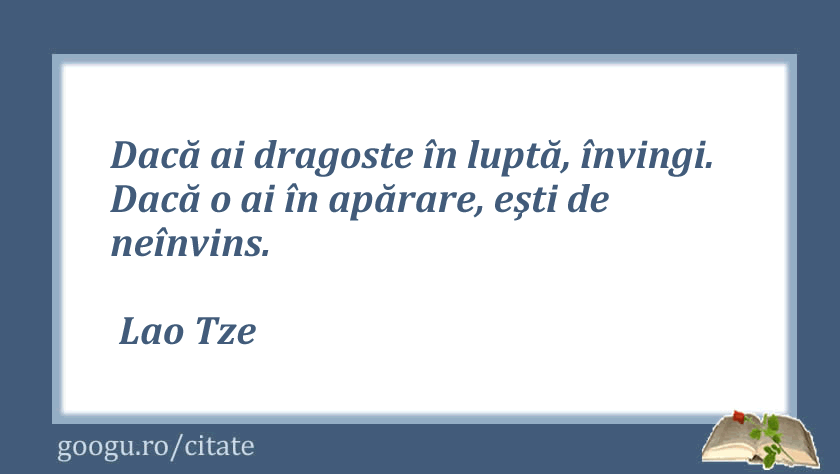 Citate despre lupta, Lao Tze
