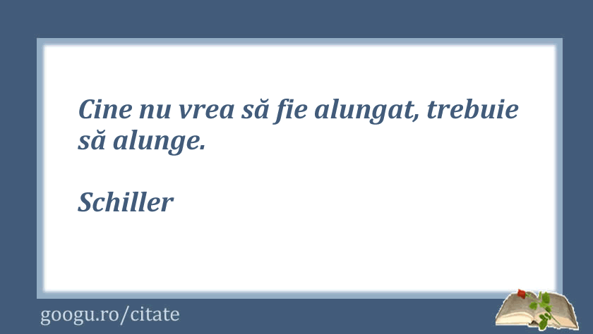 Citate despre lupta, Schiller
