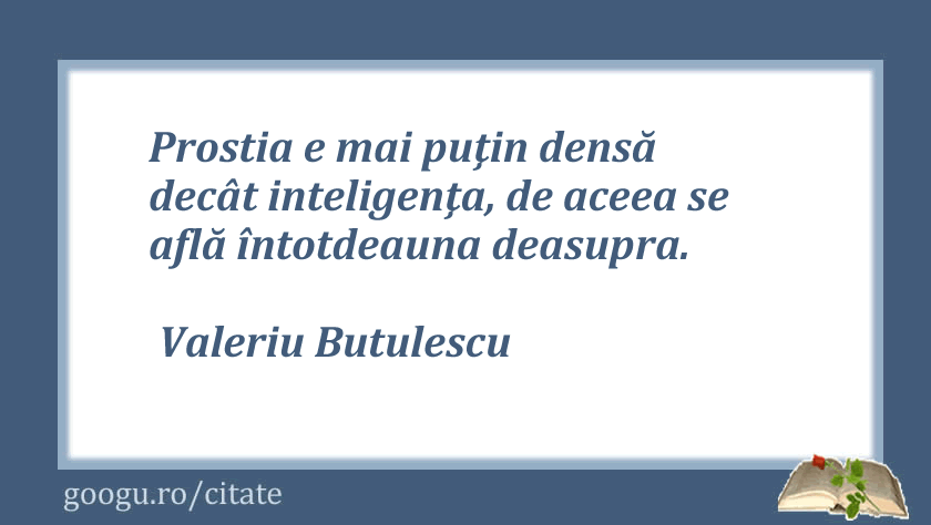 Citate despre prostie 06