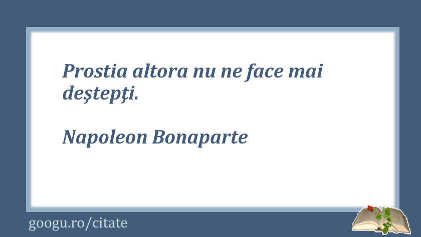 Citate despre prostie 12