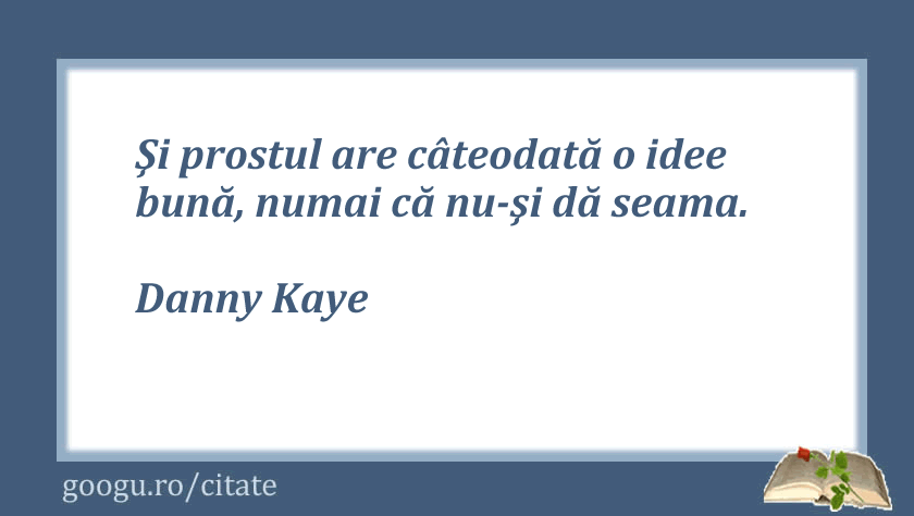 Citate despre prostie 13