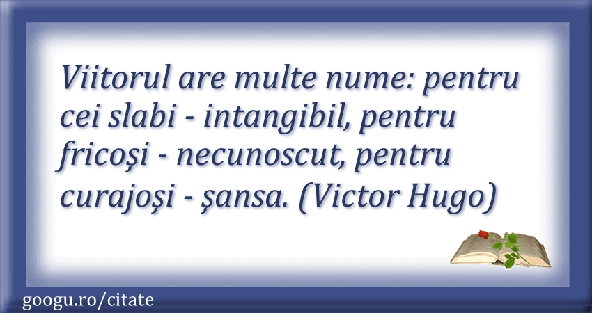 Citat despre sansa 06