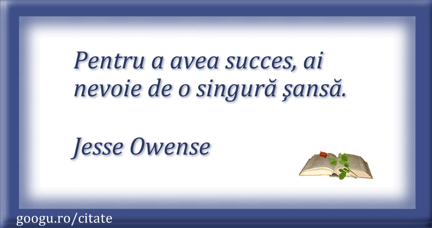 Citat despre sansa 09