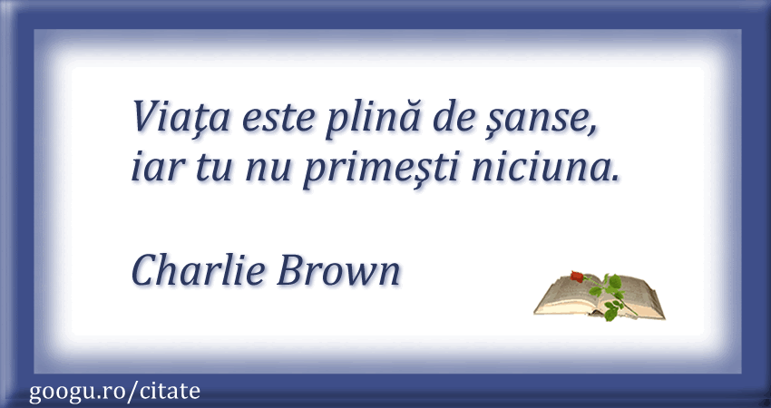 Citat despre sansa 10