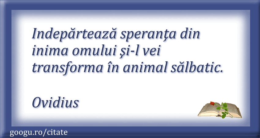 Citate despre speranta 09