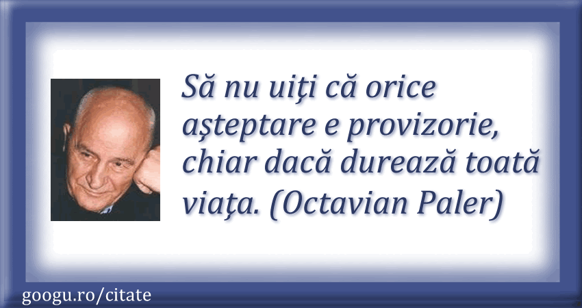 octavian-paler-citate 04