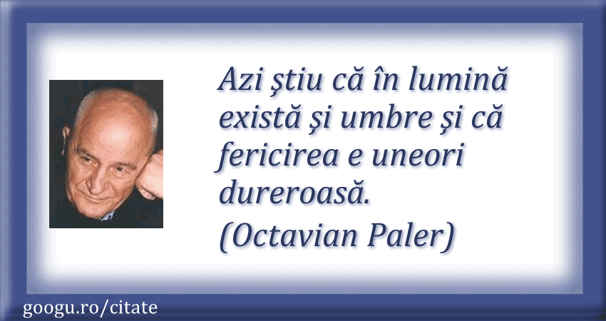 octavian-paler-citate 05
