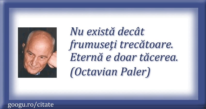 octavian-paler-citate 08