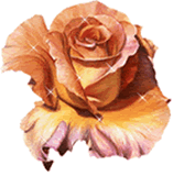 clipart-uri cu flori 28