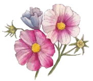 clipart-uri cu flori 40