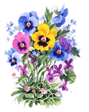 clipart-uri cu flori 42