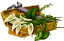 clipart-uri cu flori 46