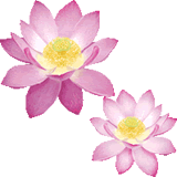 clipart-uri cu flori 48