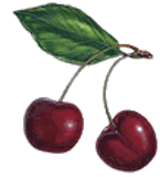 clipart-uri cu fructe 24