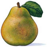 clipart-uri cu fructe 28