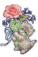 pisicuta cu flori